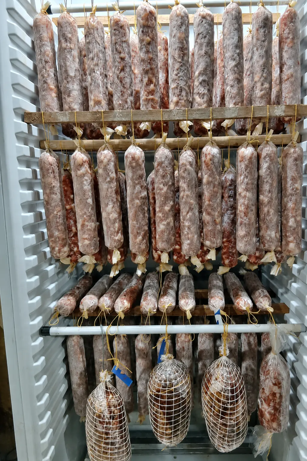 Carga completa de producción real dentro de un secadero VETTA